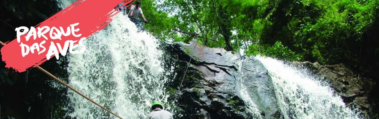 Conheça Os Melhores Passeios na Natureza em Ciudad del Este e Puerto Iguazú