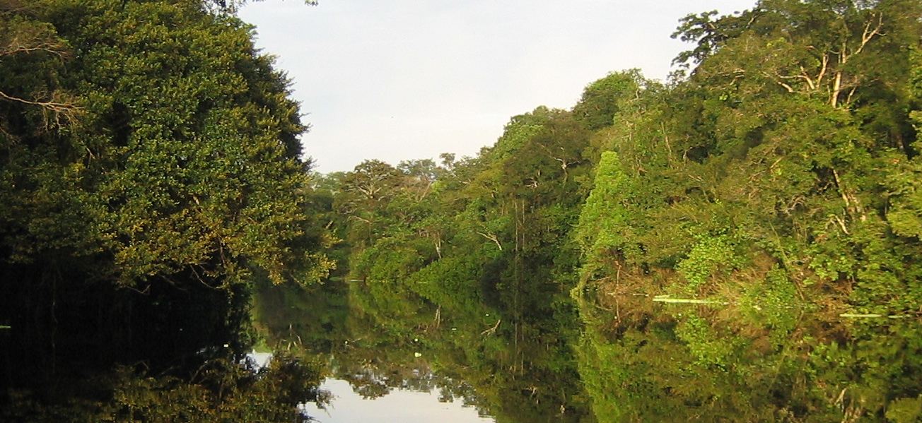 Estação Ecológica de Jutaí-Solimões