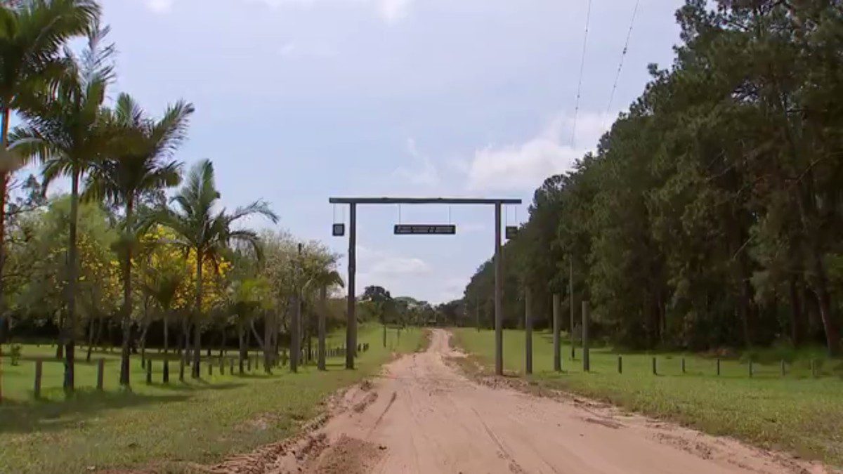 Estações Ecológicas Mico-Leão-Preto