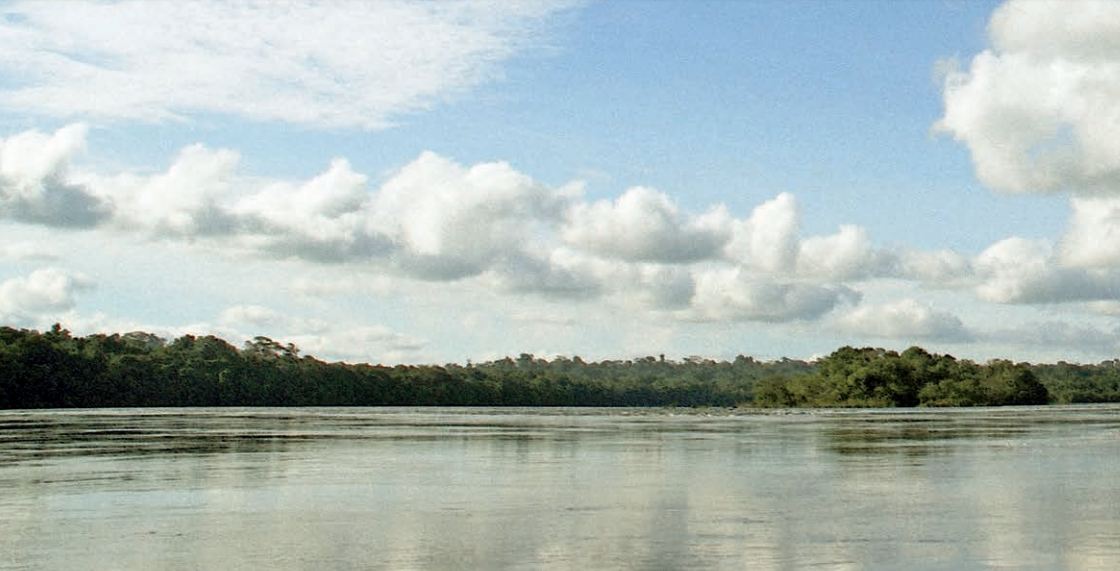 Floresta Nacional Mapiá-Inauini