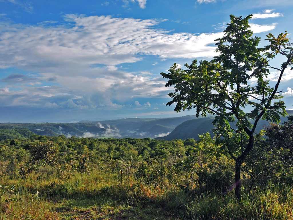 Floresta Nacional da Mata Grande