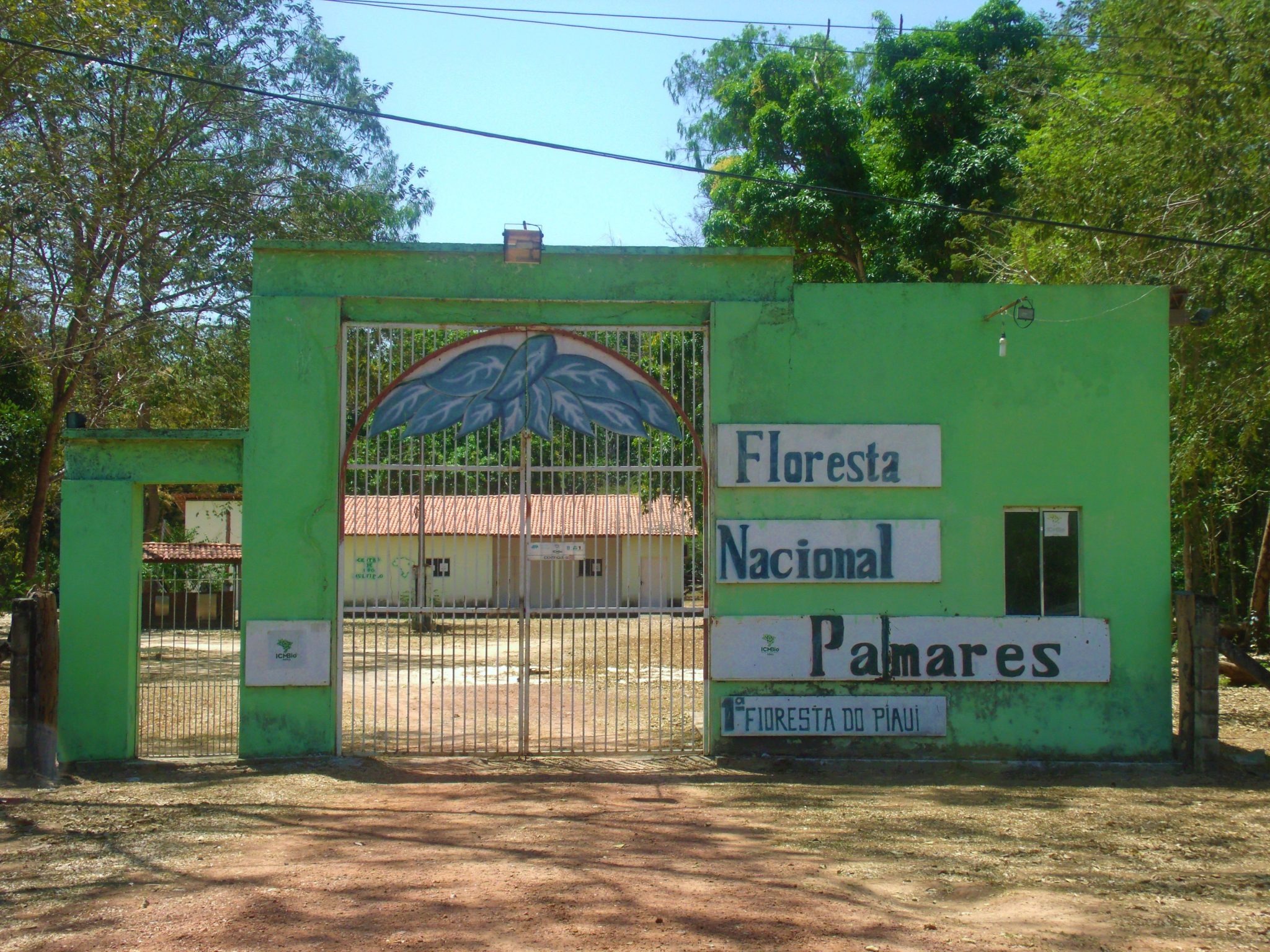 Floresta Nacional de Palmares