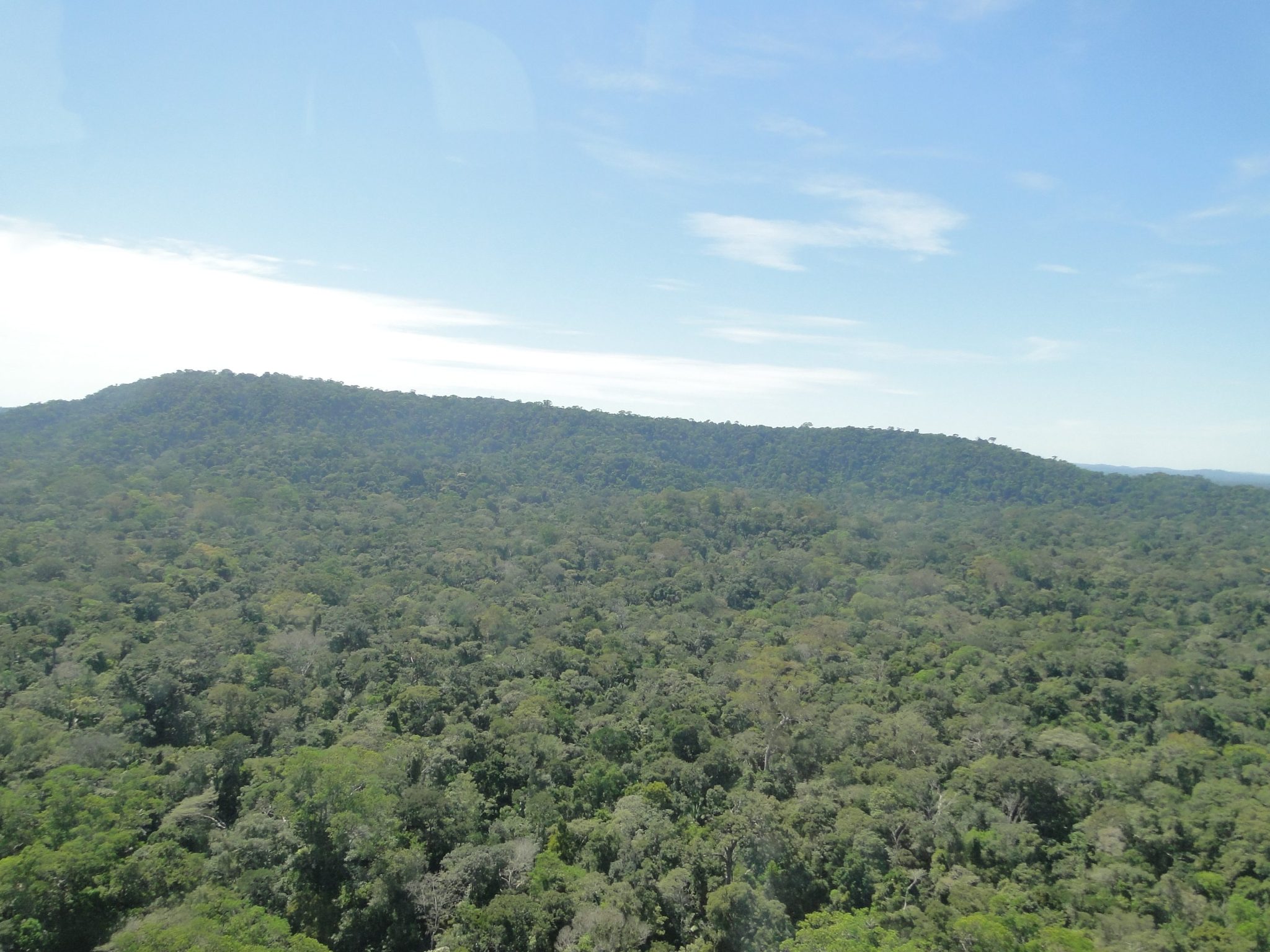 Reserva Biológica do Manicoré