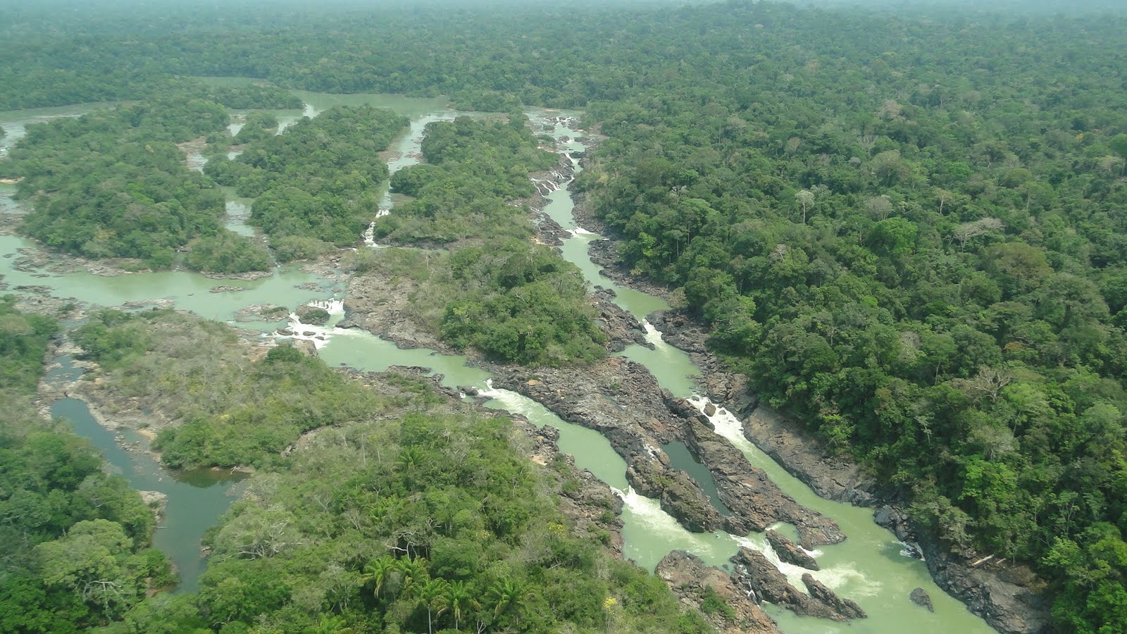 Floresta Nacional do Crepori