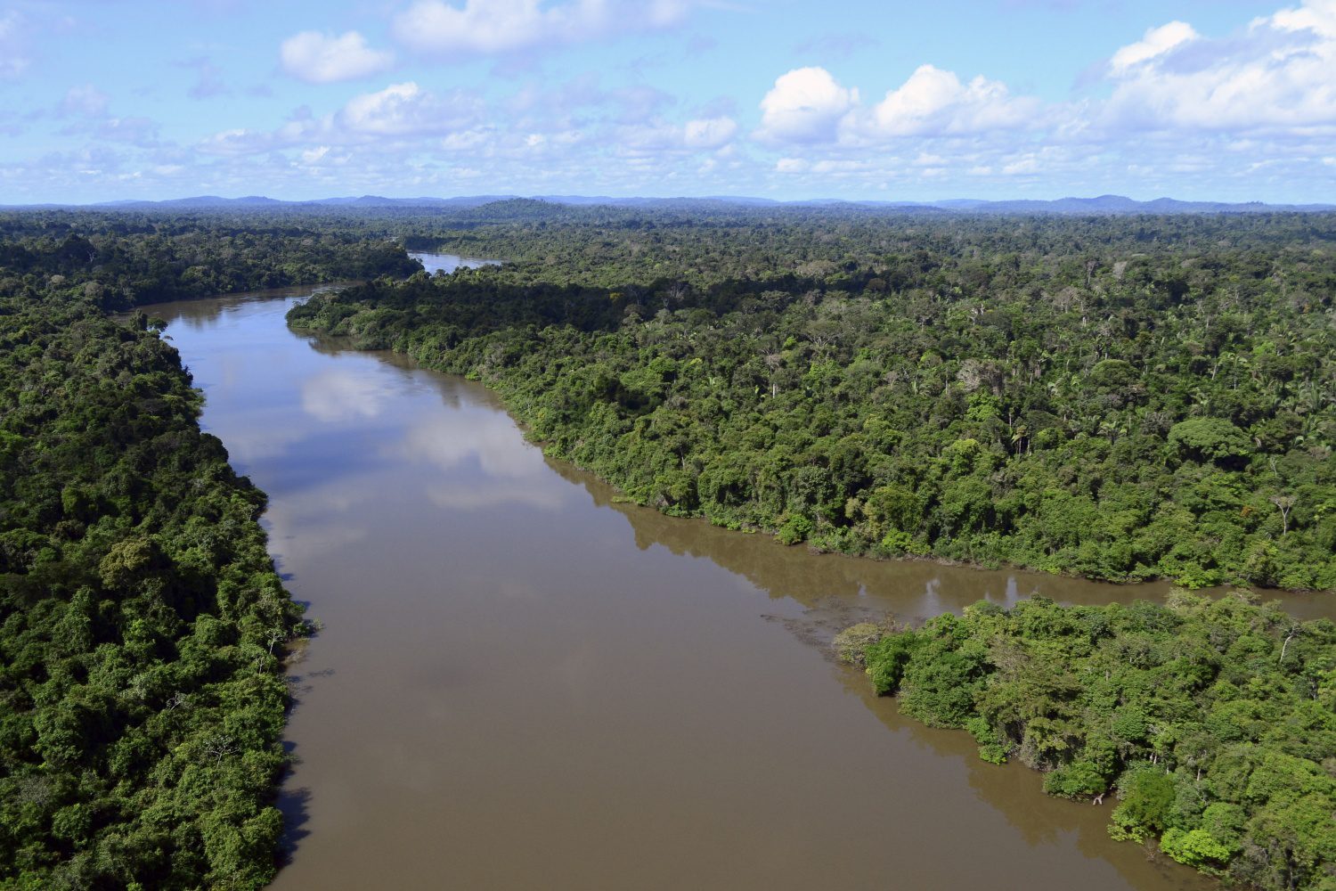 Floresta Nacional do Jamanxim