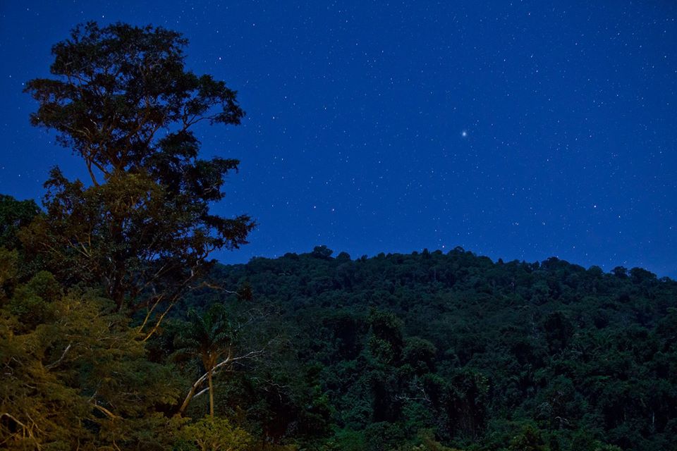 Floresta Nacional do Tapirapé Aquiri