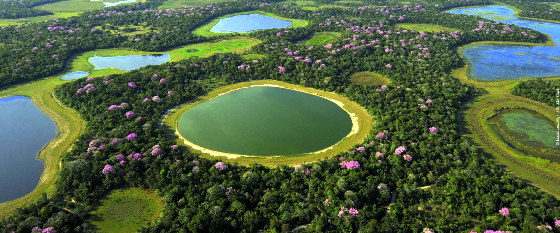Bioma Pantanal