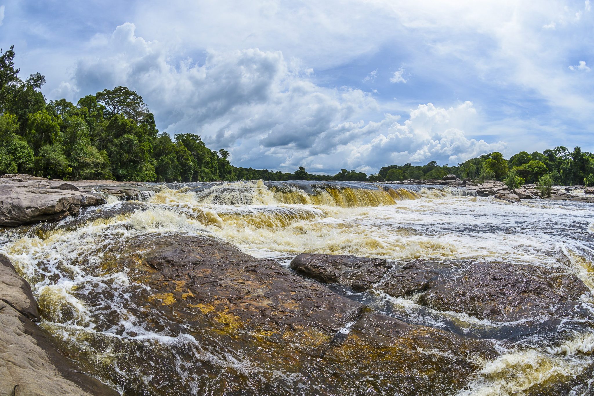 Parque Nacional do Jaú