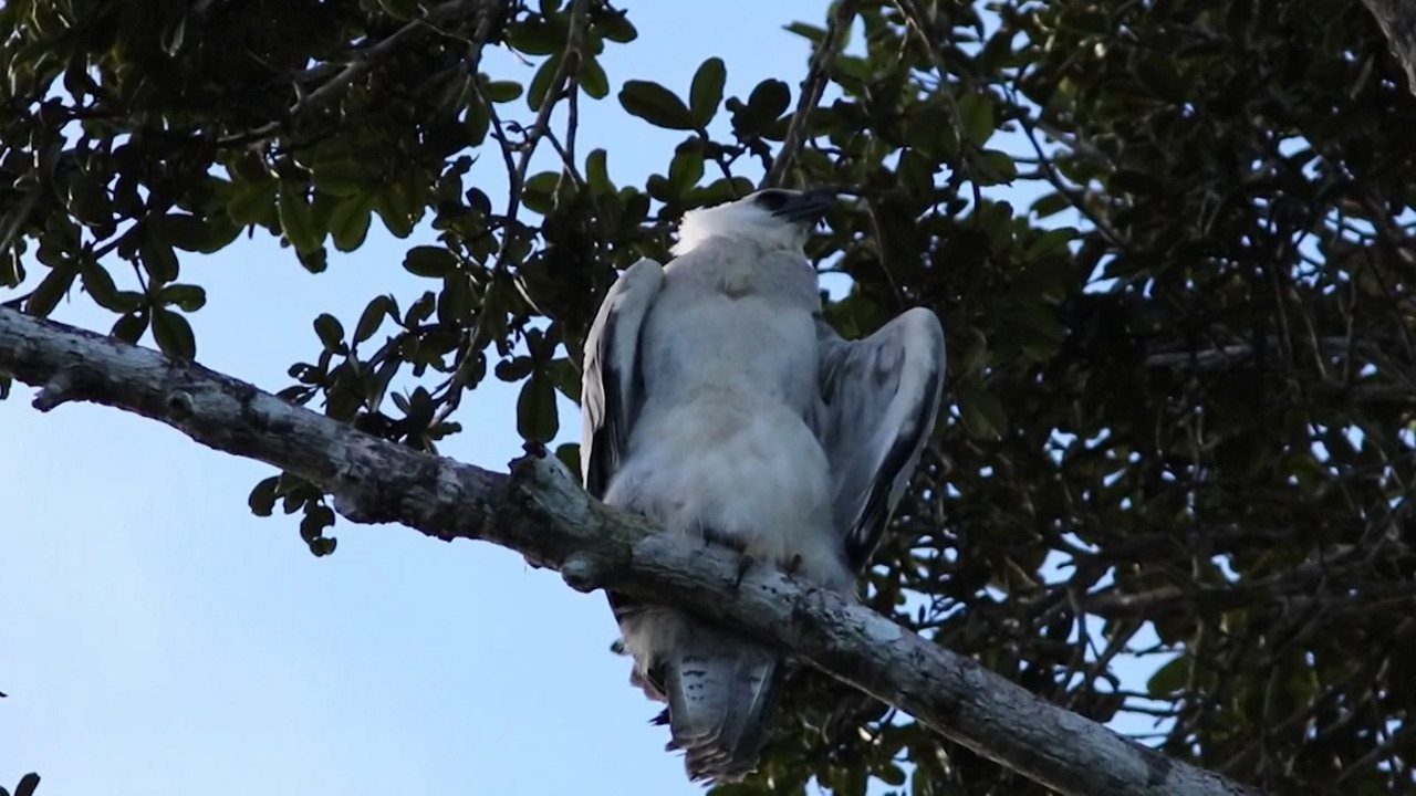 RPPN Aves Gerais