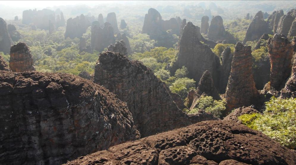 RPPN Parque Ecológico João Basso