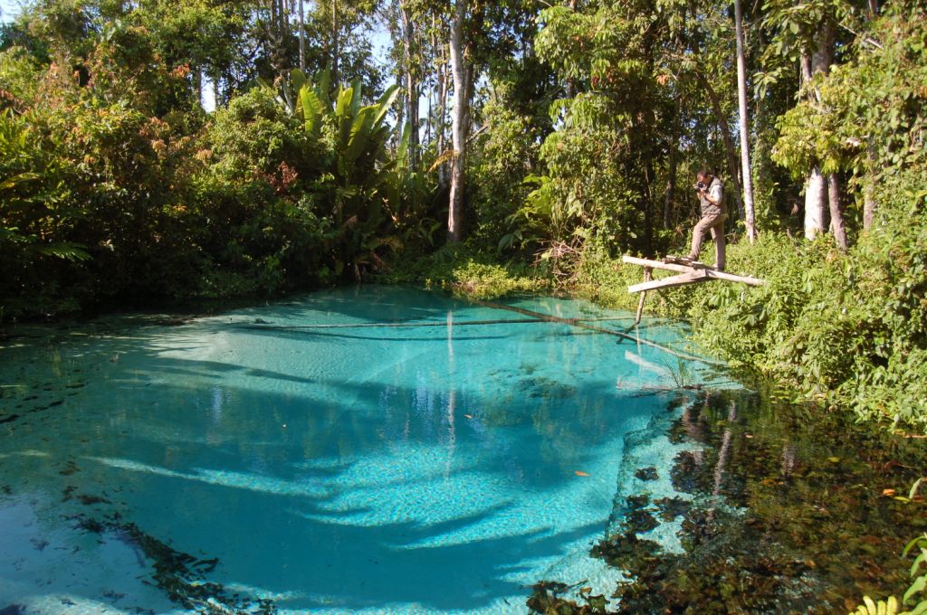 Reserva Biológica Nascentes da Serra do Cachimbo