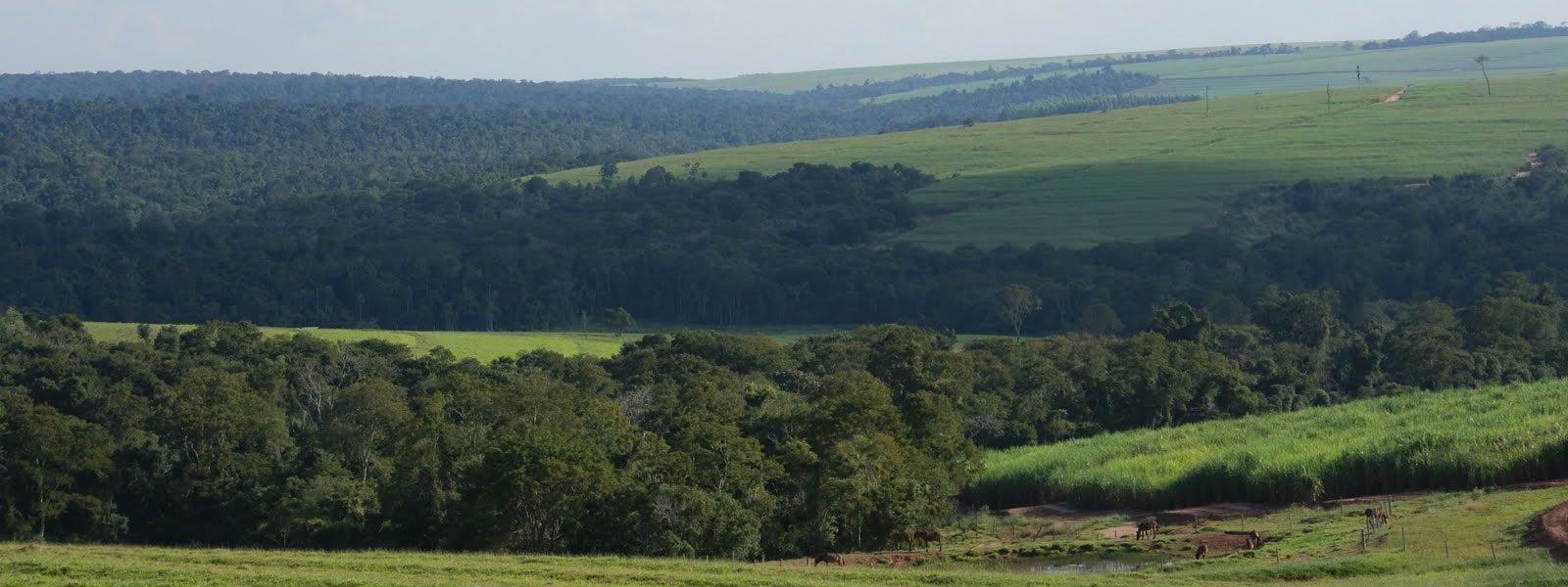 Reserva Biológica das Perobas