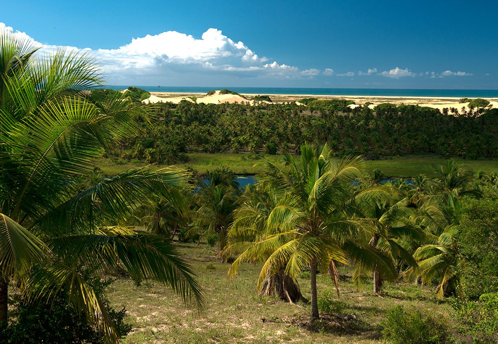 Reserva Biológica de Santa Isabel