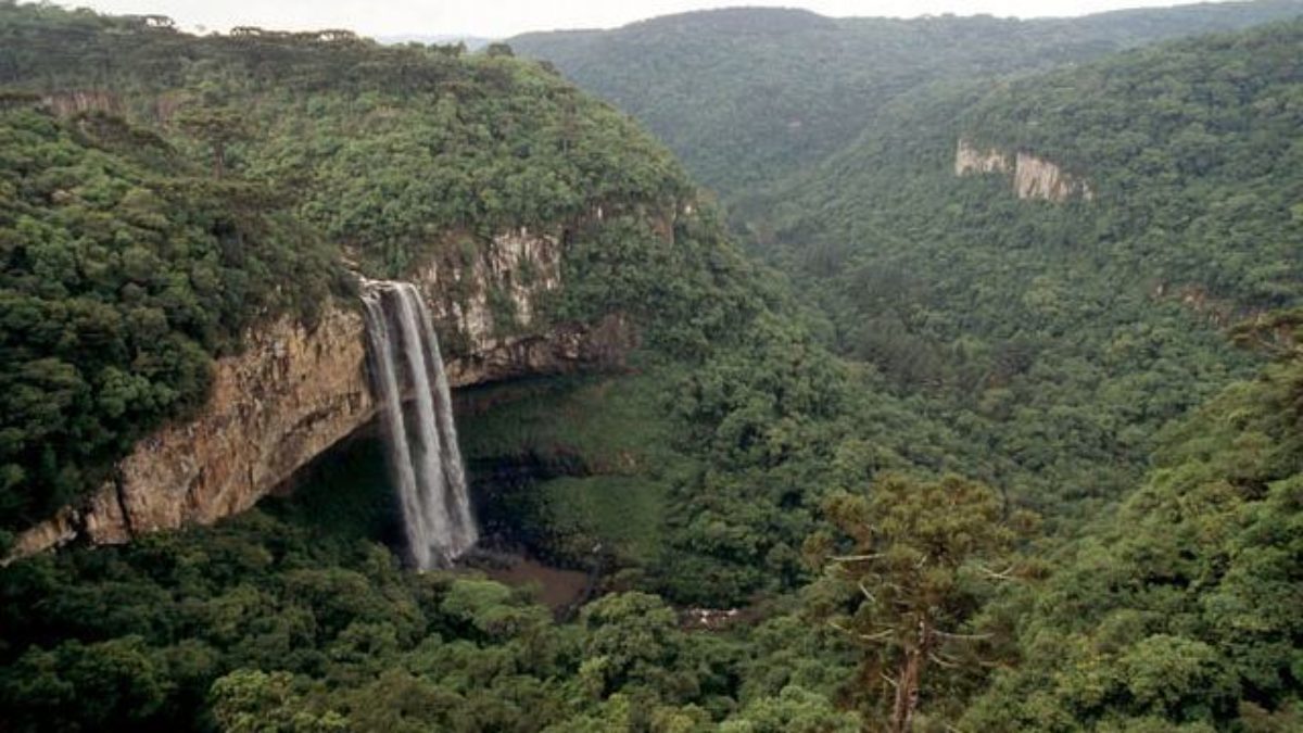 Reserva Biológica do Guaporé