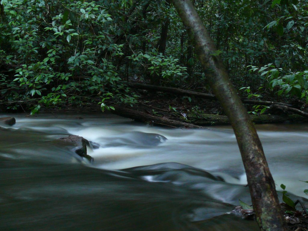 Reserva Biológica do Uatumã