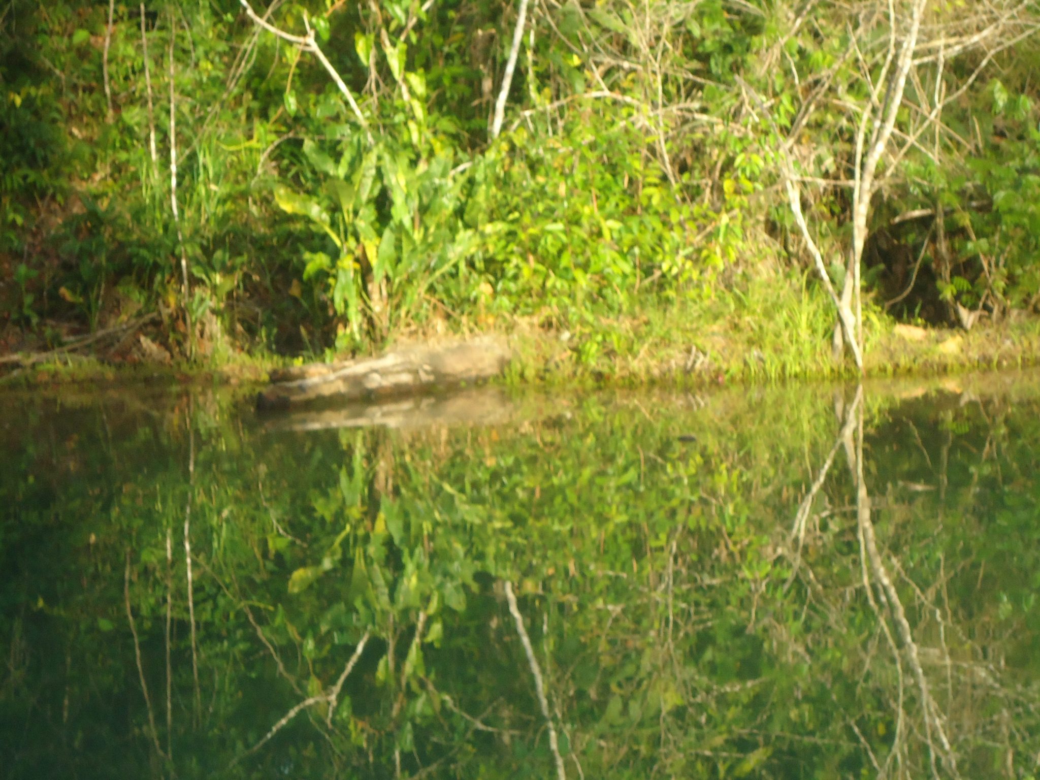 Reserva Extrativista Marinha Mestre Lucindo