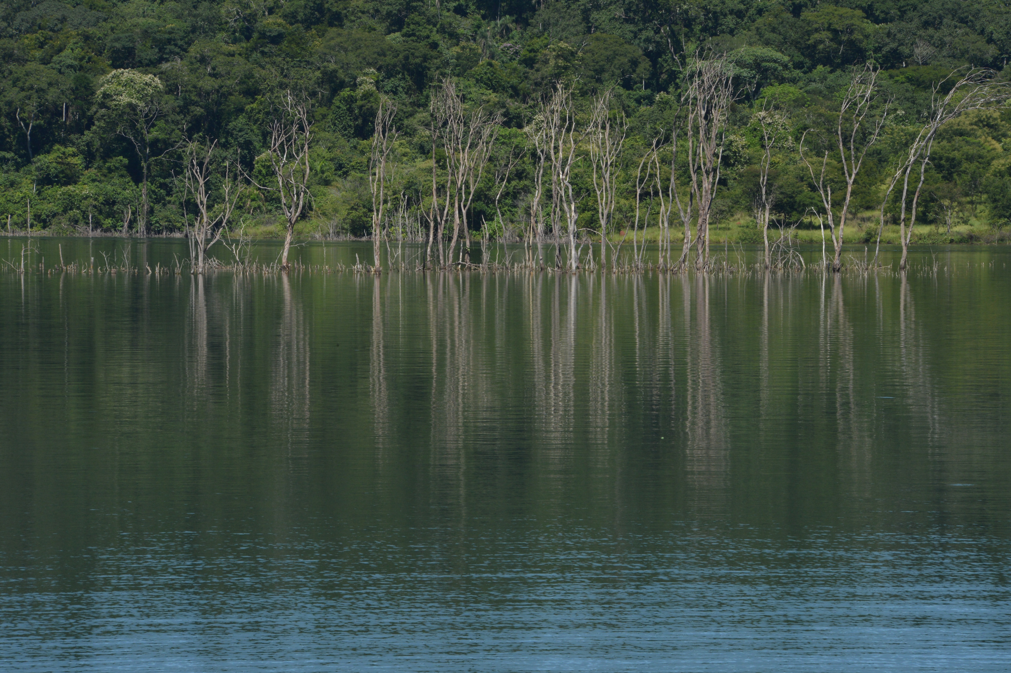 Reserva de Desenvolvimento Sustentável Nascentes Geraizeiras