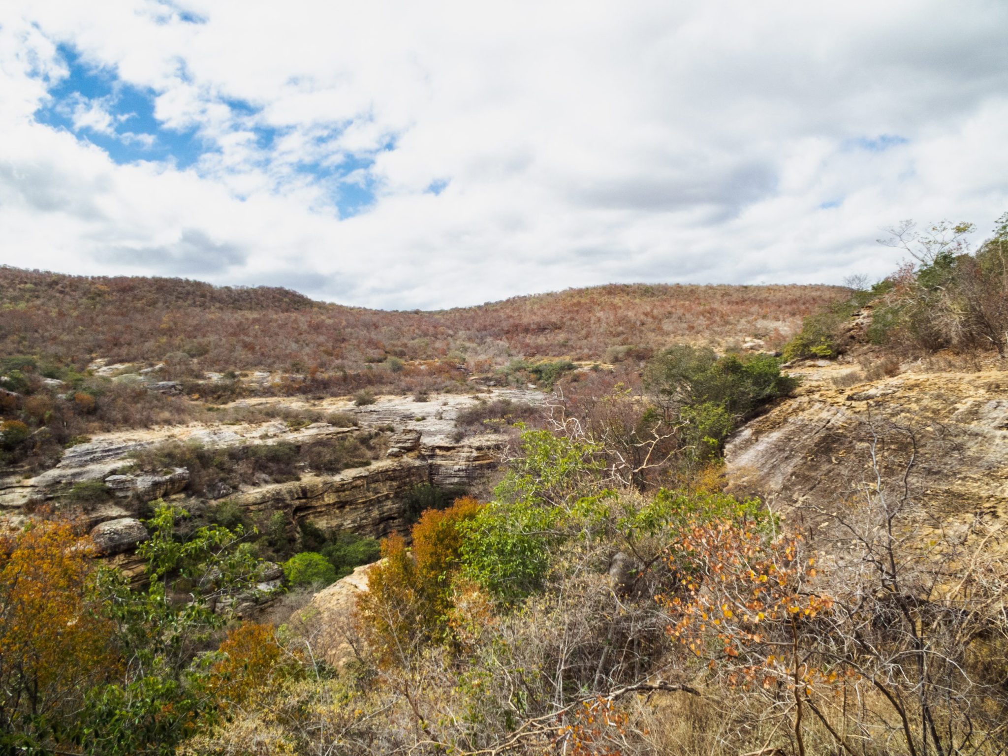 Bioma Caatinga