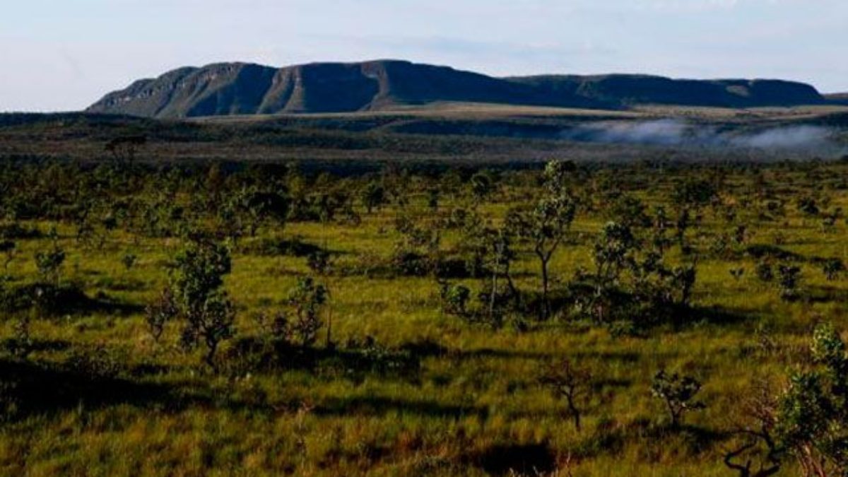 Bioma Cerrado