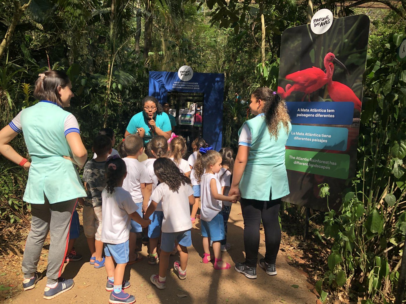 Educação Ambiental