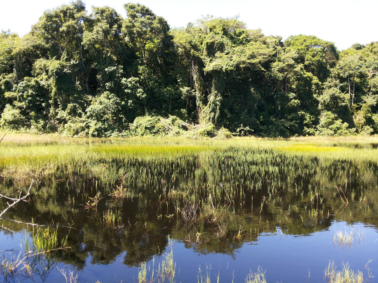 Floresta Nacional da Restinga de Cabedelo