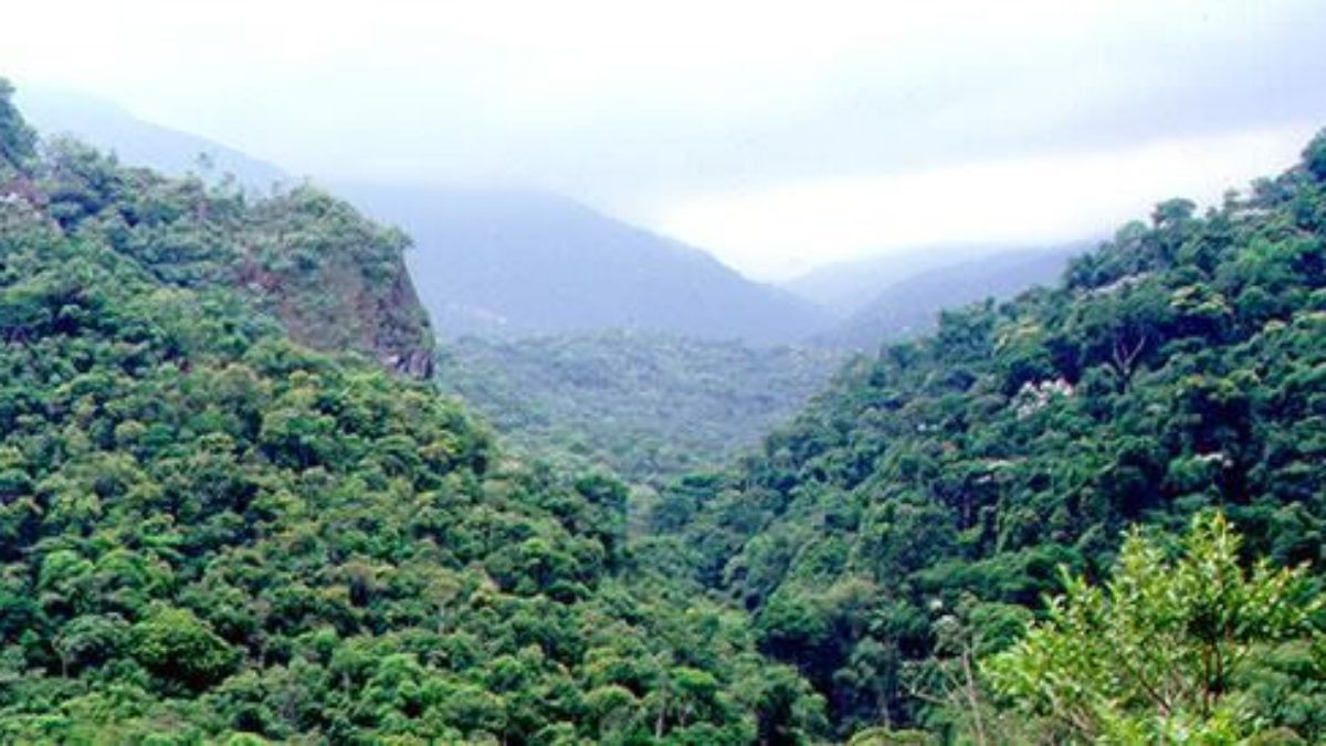 Bioma Mata Atlântica