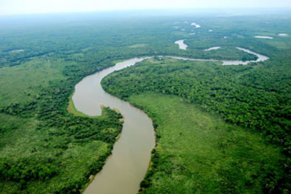 RPPN Reserva Natural Engº Eliezer Batista