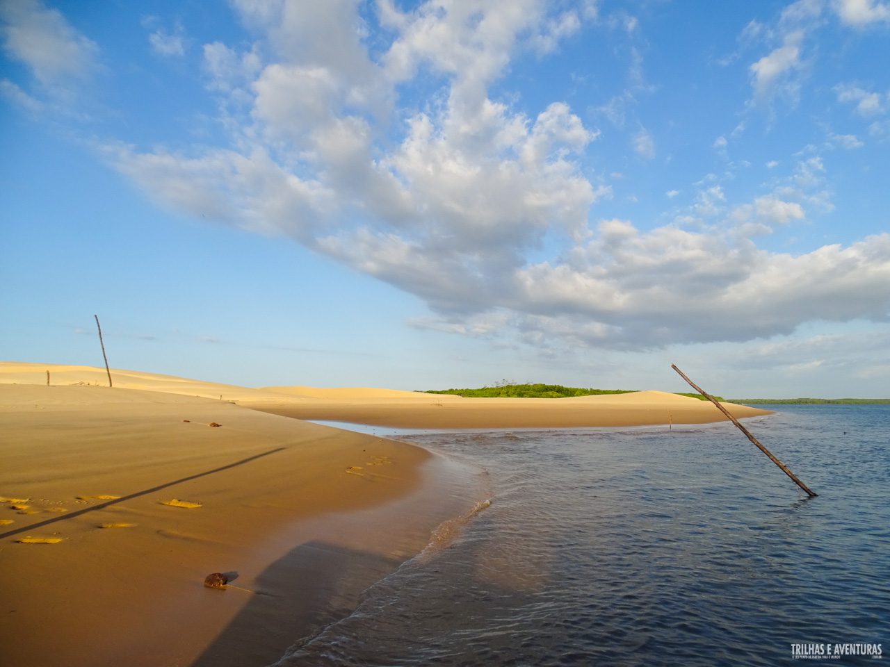Área de Proteção Ambiental Delta do Parnaíba