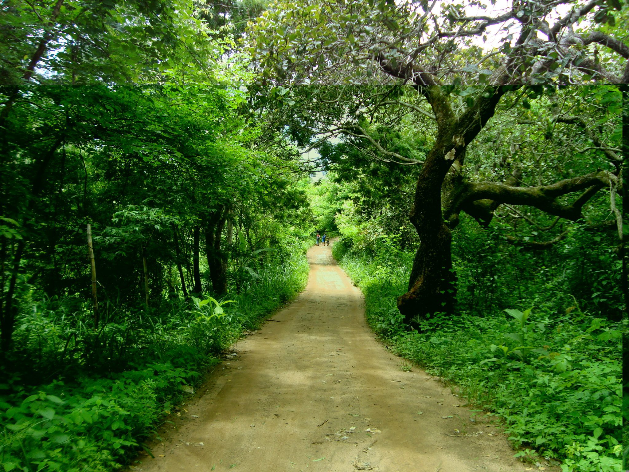 Área de Proteção Ambiental Serra da Meruoca