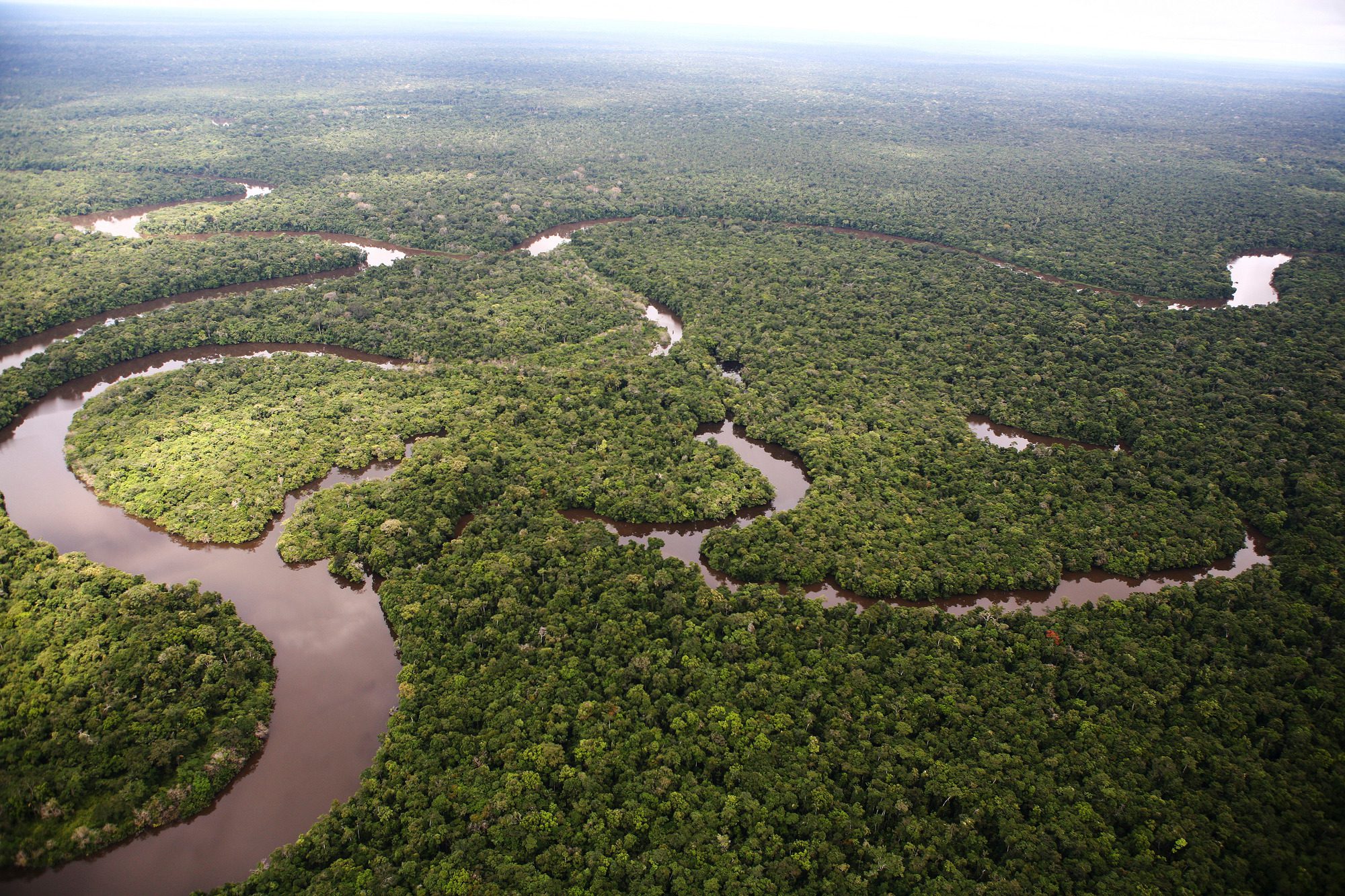 Área de Proteção Ambiental dos Campos de Manicoré