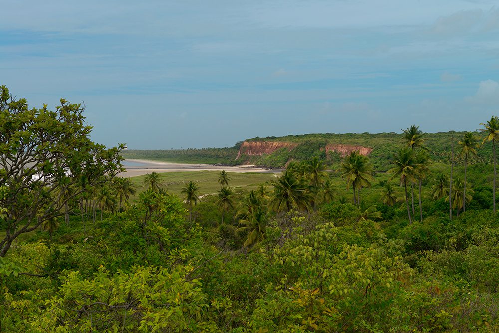 Área de Relevante Interesse Ecológico Manguezais da Foz do Rio Mamanguape