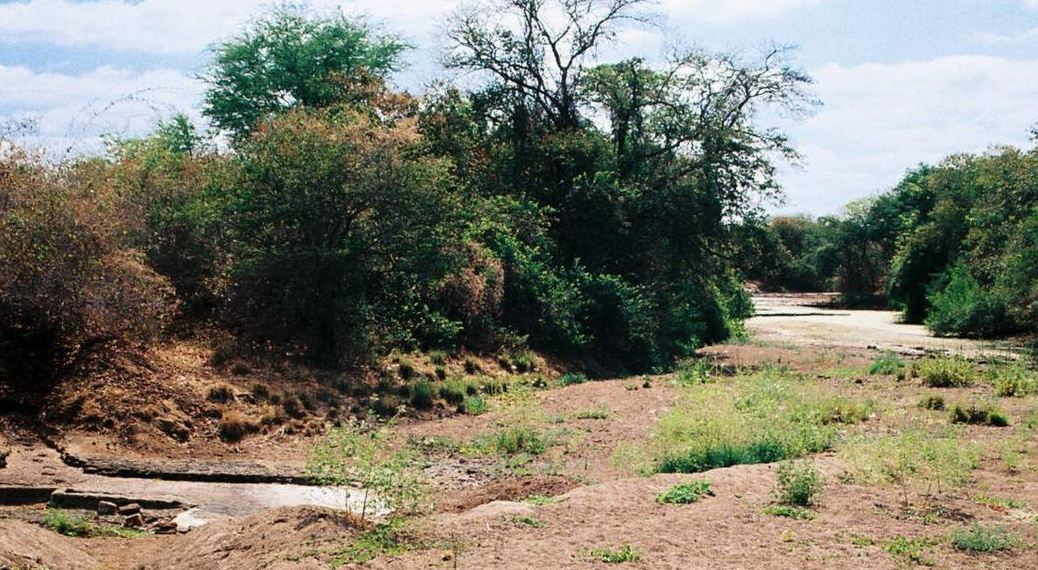 Área de Relevante Interesse Ecológico Seringal Nova Esperança