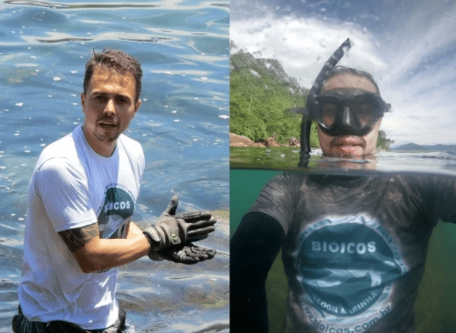 Rotinas de trabalho na Biologia Marinha: colaboradores da Revista Biologia Marinha contam pra você